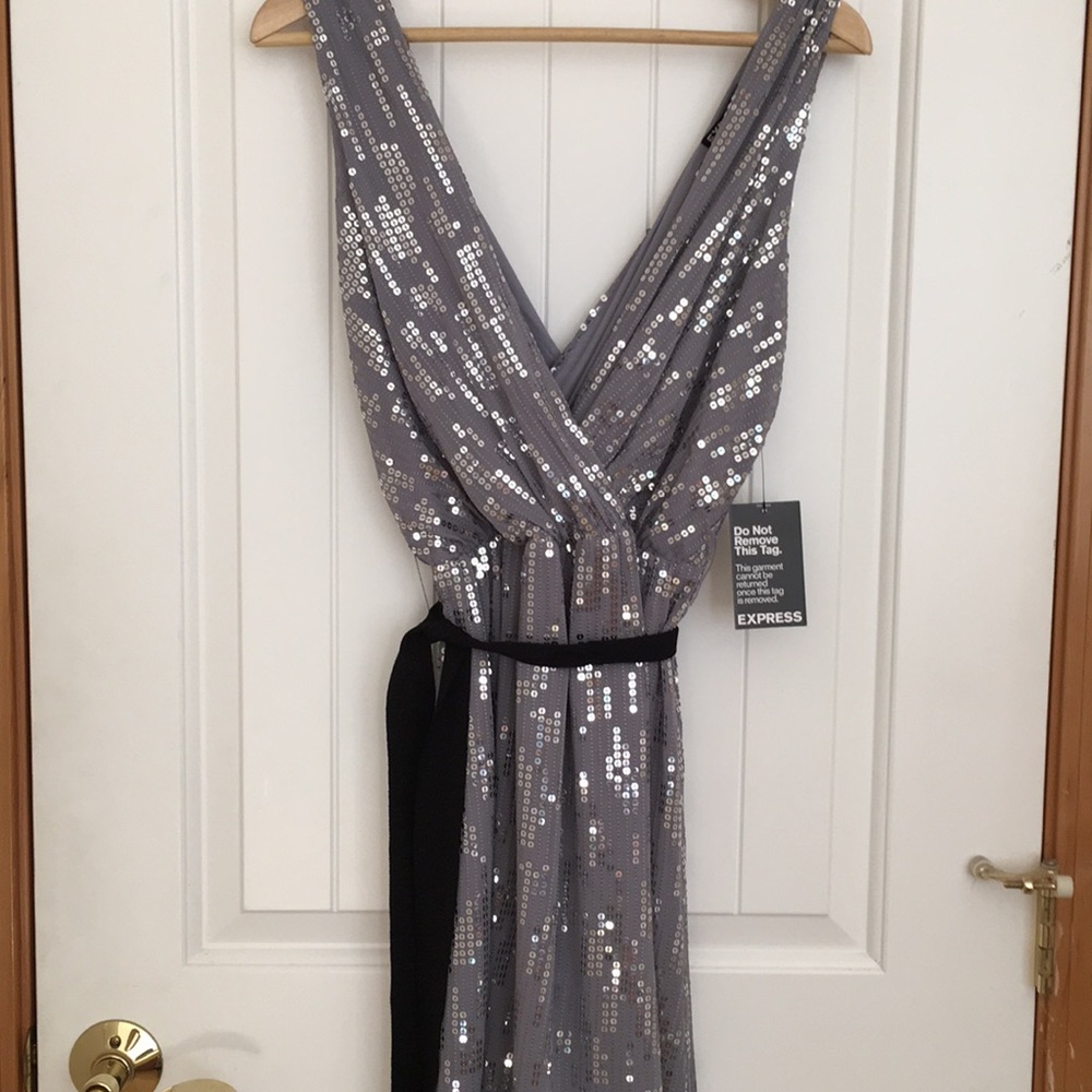 Stunning Express Cocktail Dress